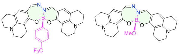 Molecular Structure of OmiFluo™
                            BOSHY-LD Yellow and Green