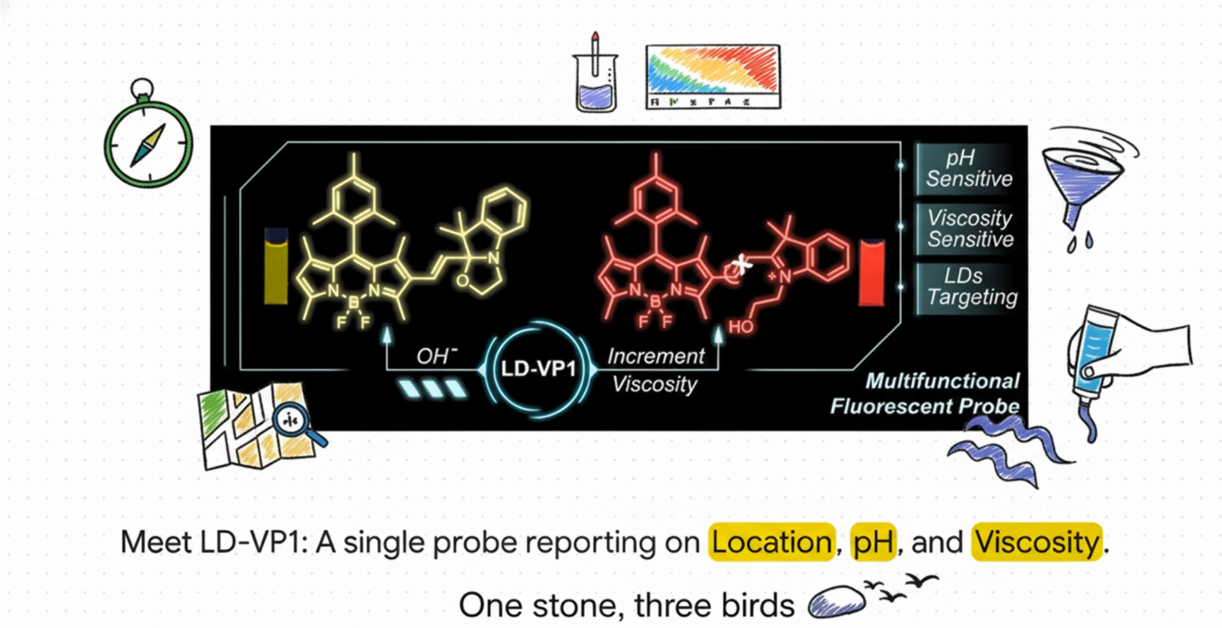 OmiFluo™ LD-VP Red (LD-VP1)