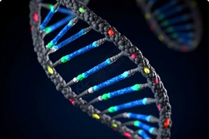 Pharmaceutical Intermediates