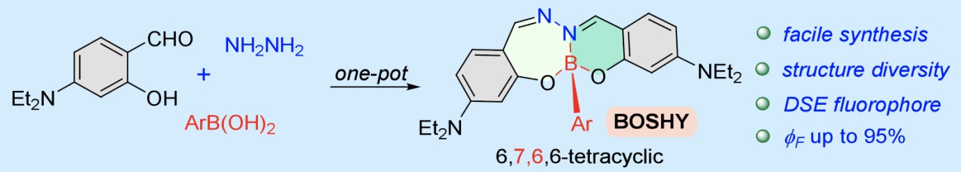 BOSHY Molecule Structure